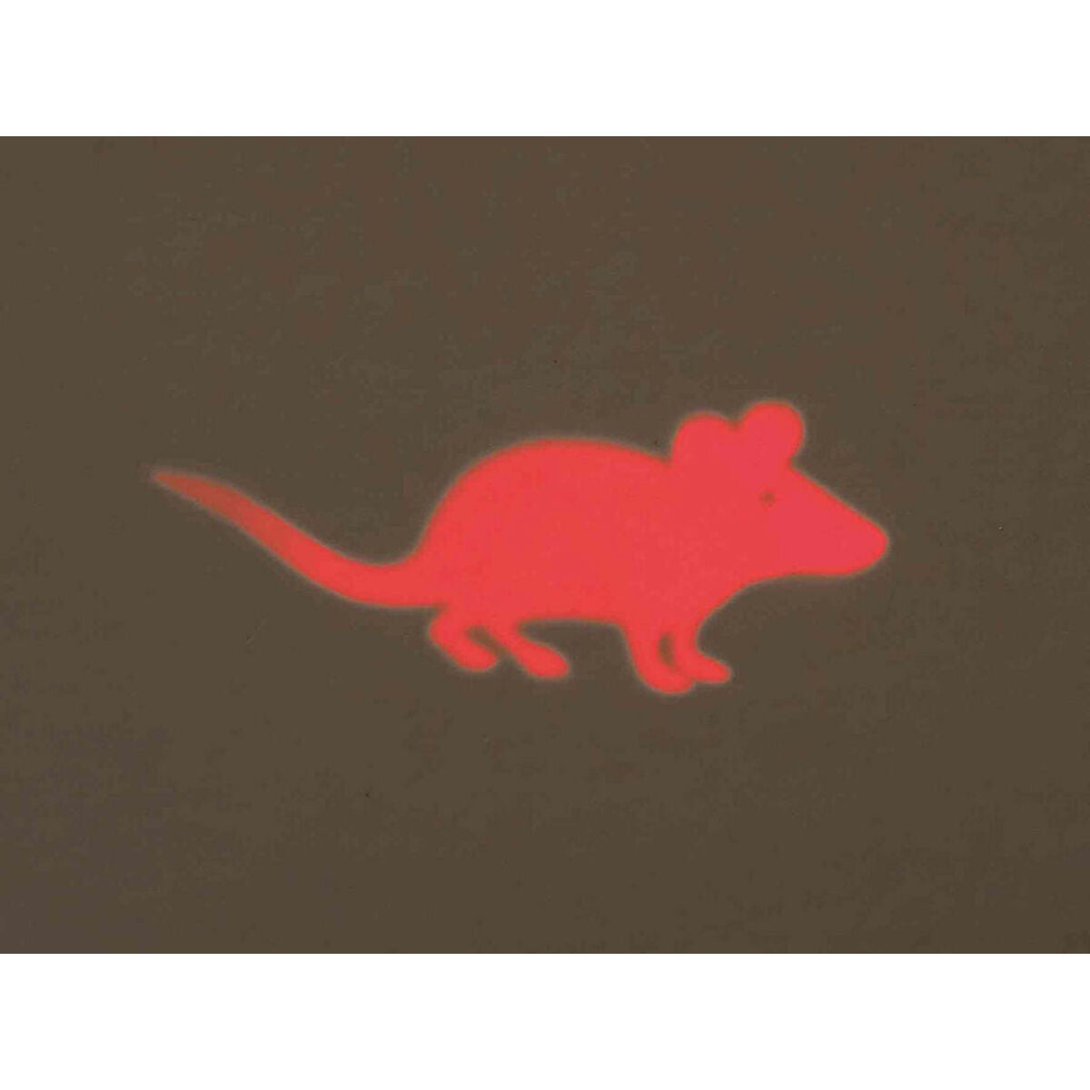 V5H30063C549CCA8F726CFA66BD1F65BC74R7444929P5