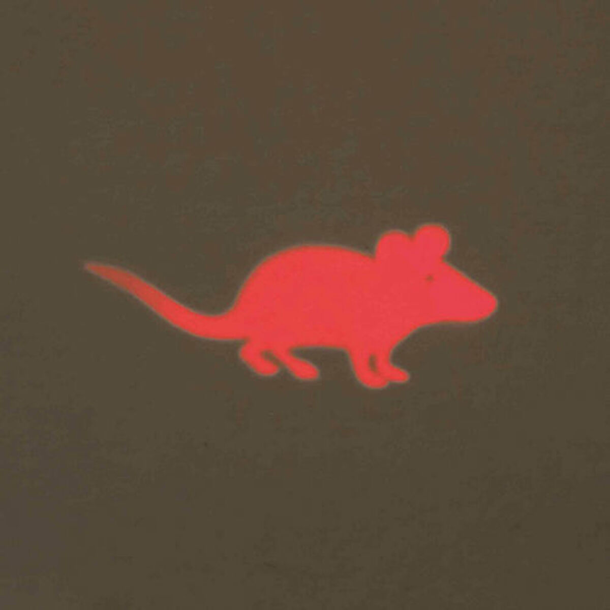 V5H3F38239B13B90E7DAA30176FA13B2742R7444932P6