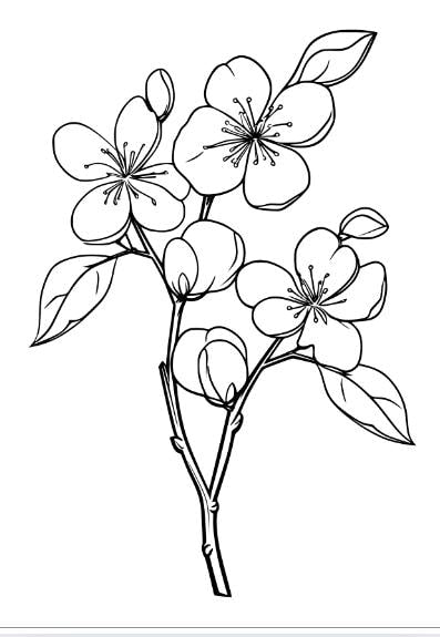 2-Book Nature Coloring Bundle for Kids – Flowers and Countryside Windmill Themes – Calming Activity Set for Ages 4–8