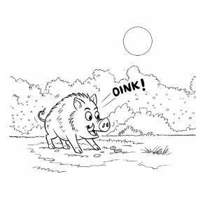 Hide and Seek Animal Coloring Book for Kids Ages 4–8 | Fun Jungle Adventure, Savannah Animals, Printable Activity Book