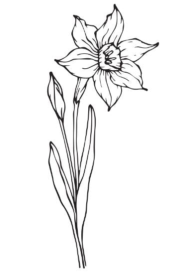 The Magical Flower Field – Flower-Themed Coloring Book for Kids – Calm and Creative Nature Activity for Ages 4–8