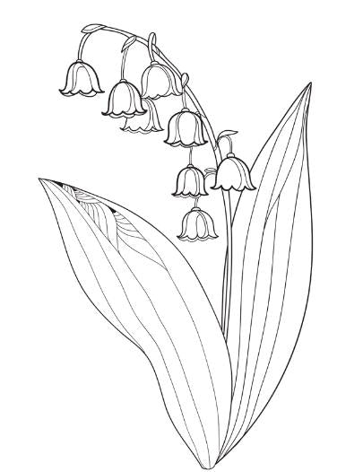 The Magical Flower Field – Flower-Themed Coloring Book for Kids – Calm and Creative Nature Activity for Ages 4–8