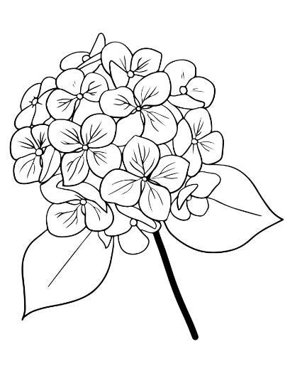 4-Book Coloring Bundle for Kids – Zoo, Farm, Circus and Flower Themes – Fun Activity Set for Toddlers and Ages 4-8